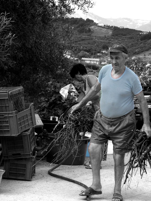 vita di campagna