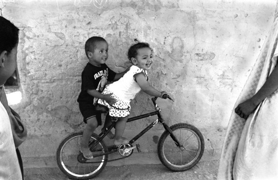 bimbi