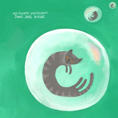 bubble cats