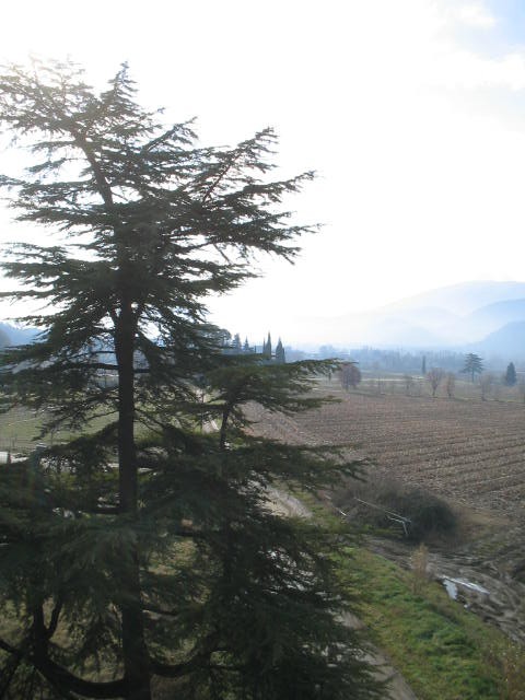vista dalla finestra del salone