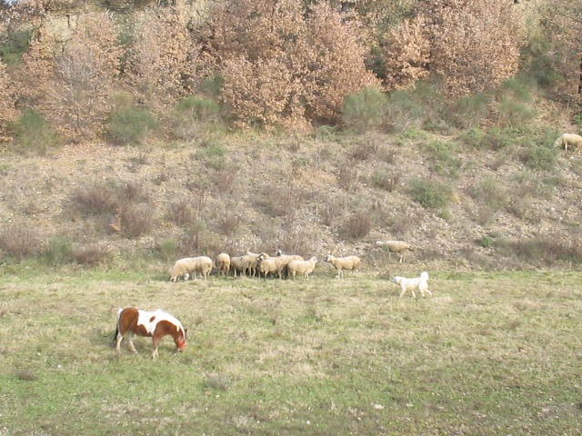 vista dalla finestra della camera