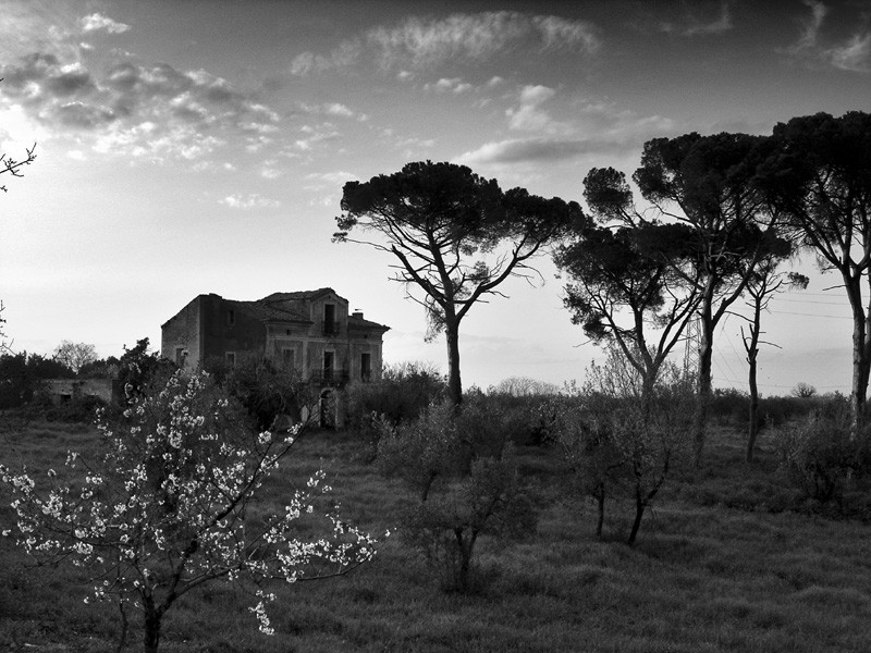 è primavera