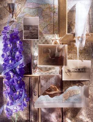 collage5