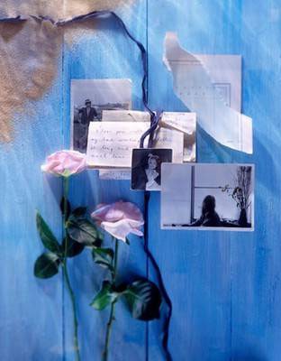 collage6