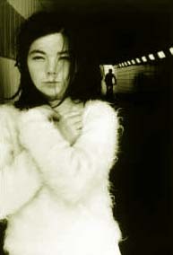 bjork3