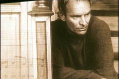 sting