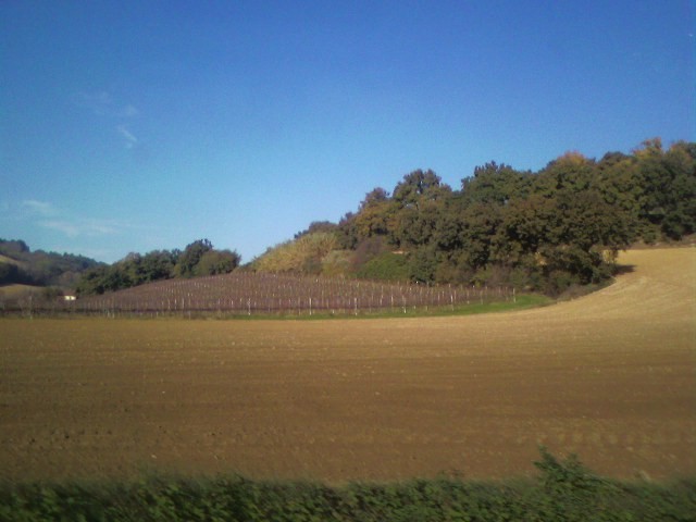 la campagna 2