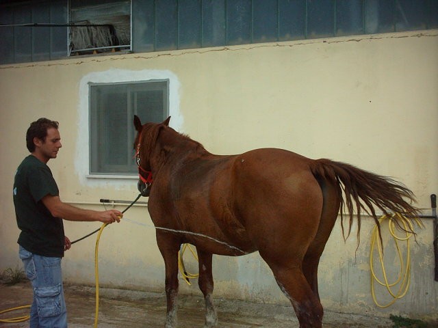 la rinfrescata