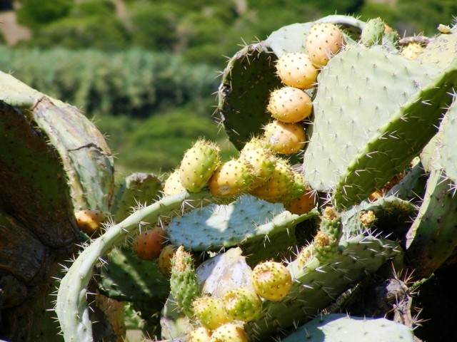 Patti (sicilia)!!!!