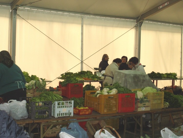 9 febbraio 2008