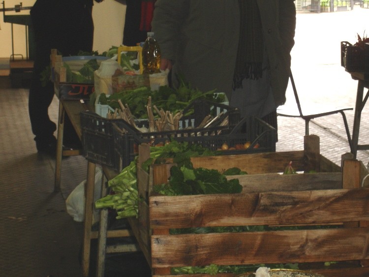 9 febbraio 2008