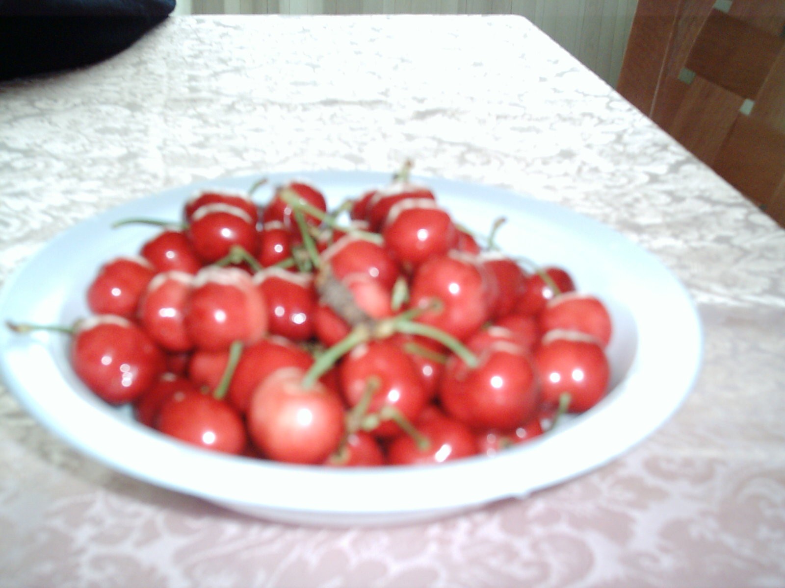pranzo