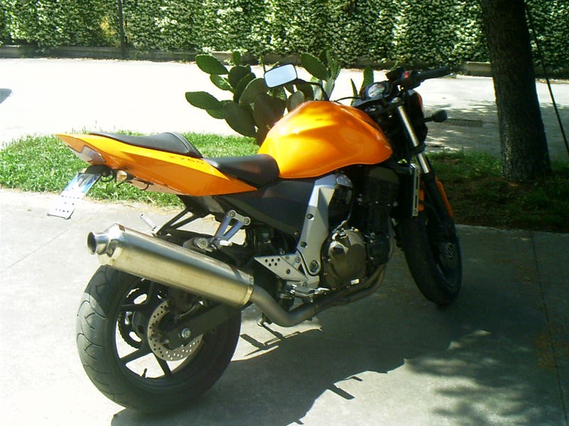 zetina