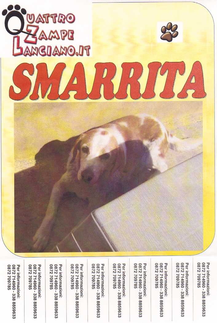 smarrito
