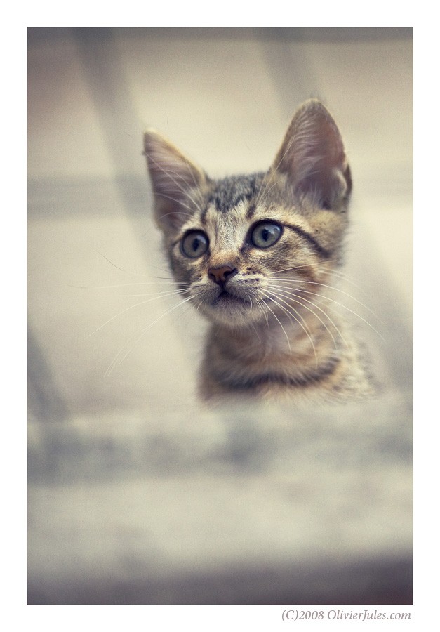 ah, l'amour!