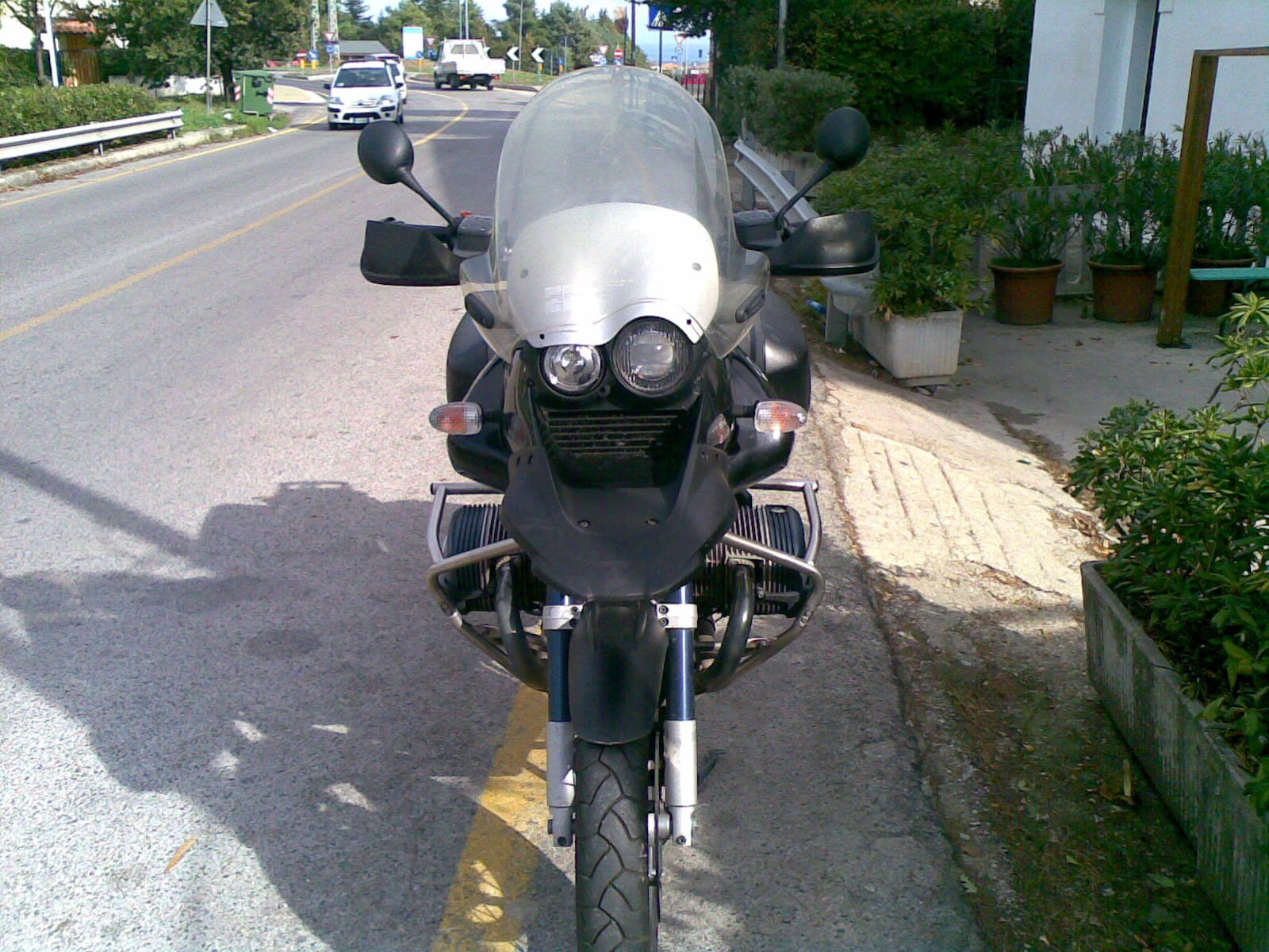 la mucca!!!