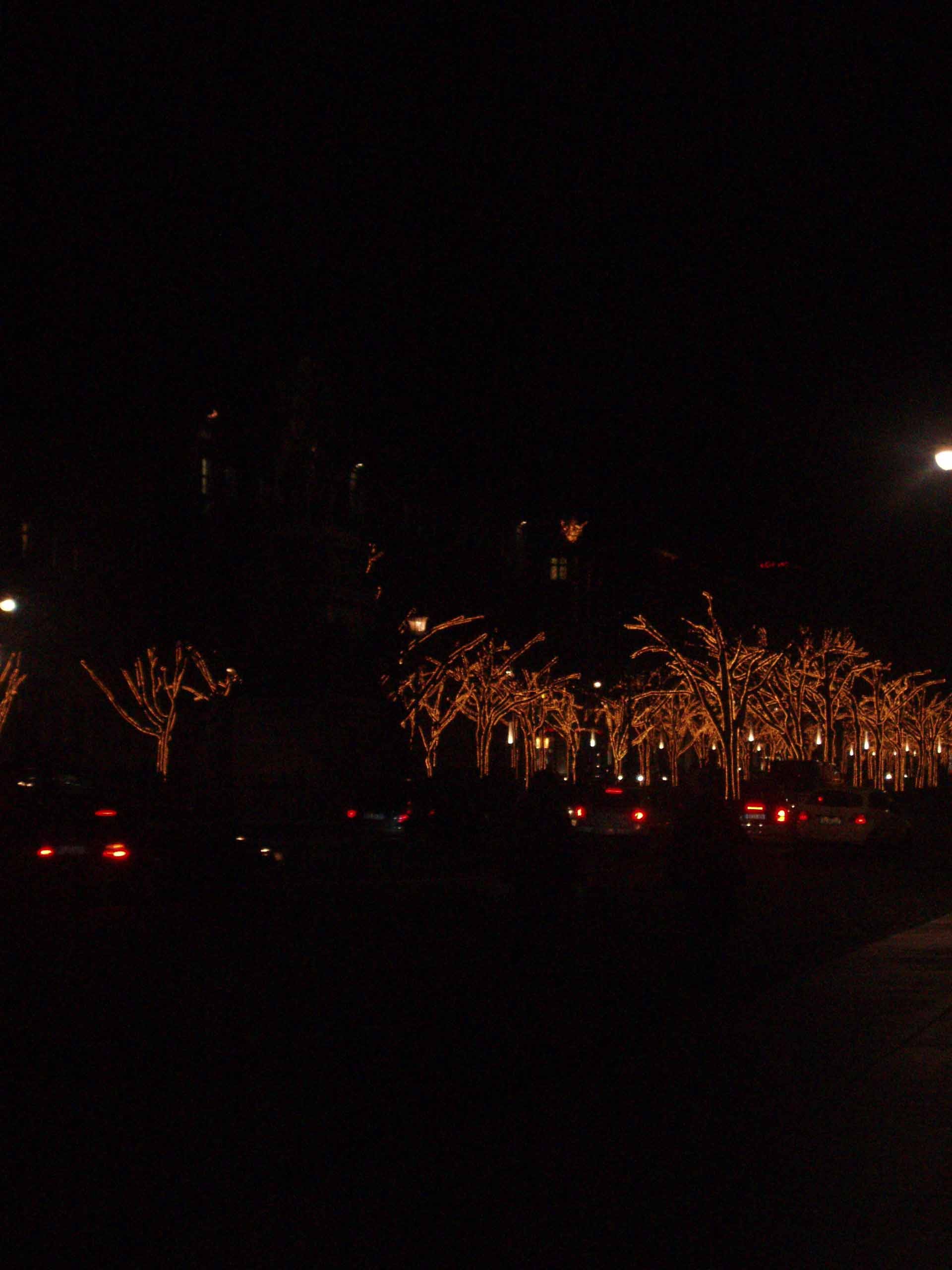 Unter den Linden 
