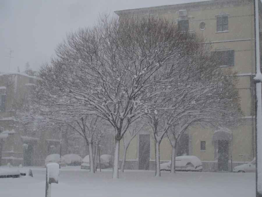 dicembre 2010
