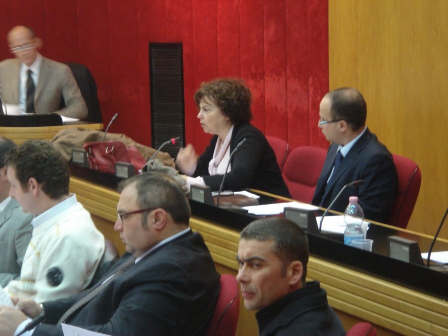 consiglio comunale 31 ottobre 2011