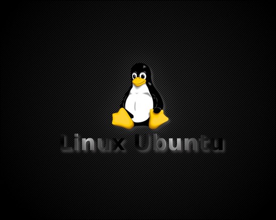 First slide