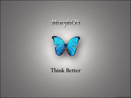 First slide