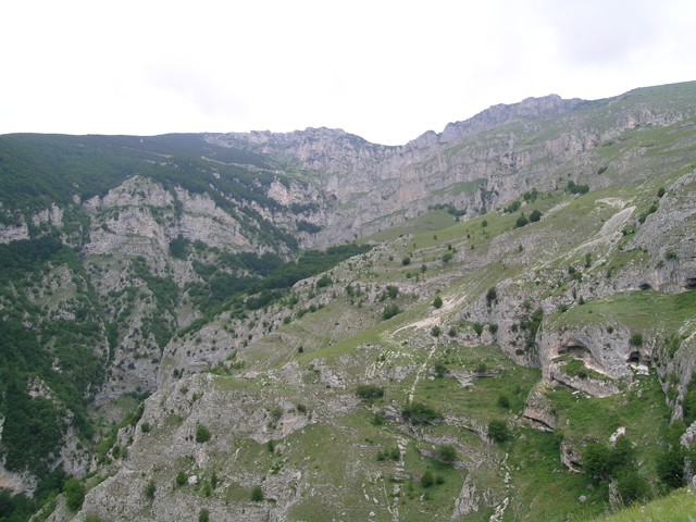 15 veduta sx