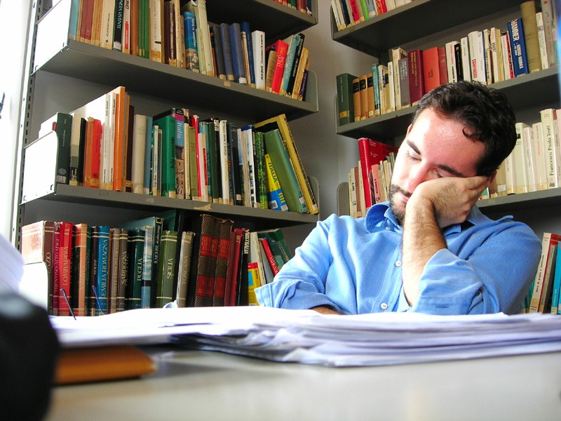 biblioteca, cucciolo dorme 1 settembre 2005