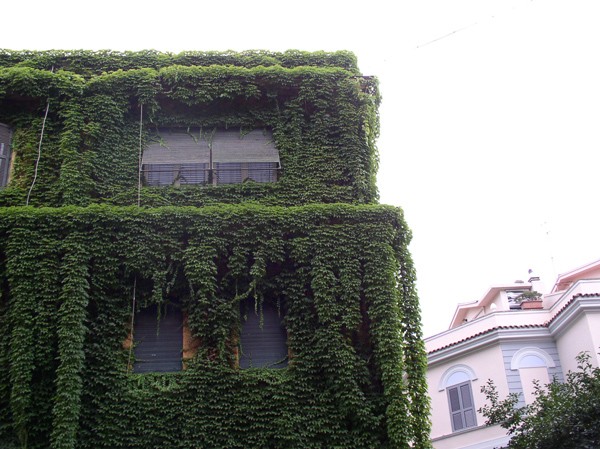 A Roma in un quartiere 