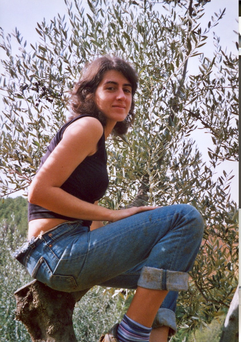 aricale da aesse
