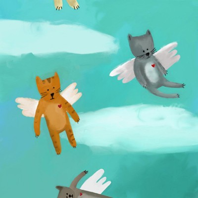 FLYING CATS