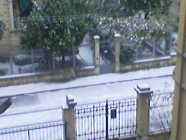 Neve Bolognese