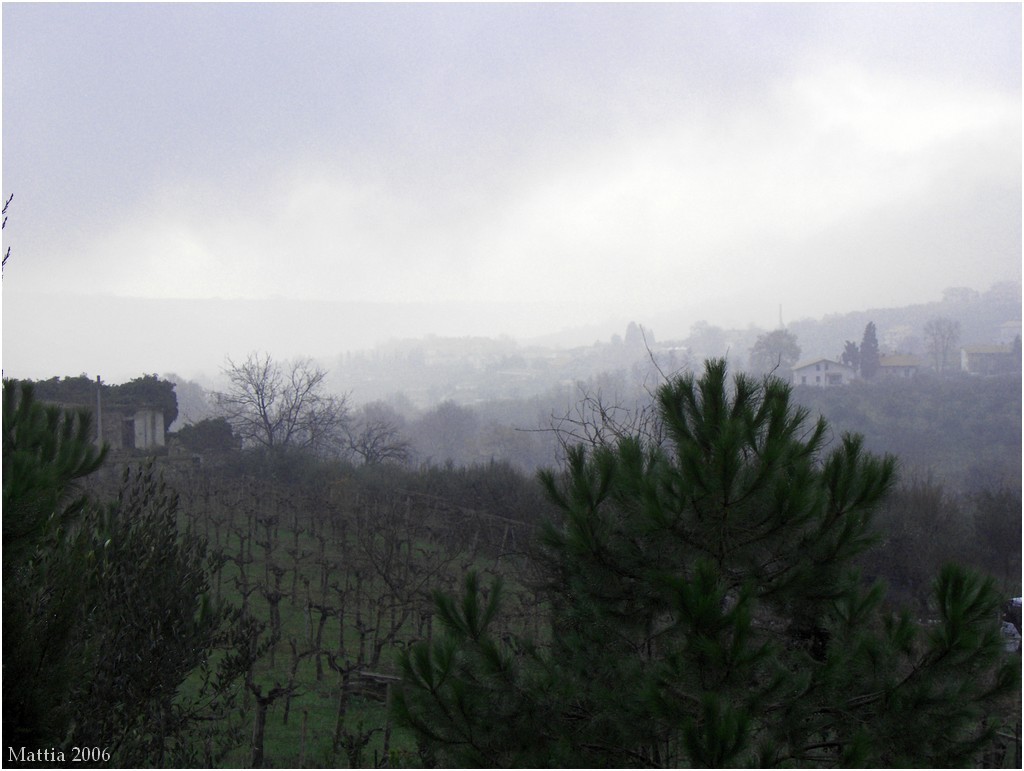 Nebbia di gennaio nel frentano