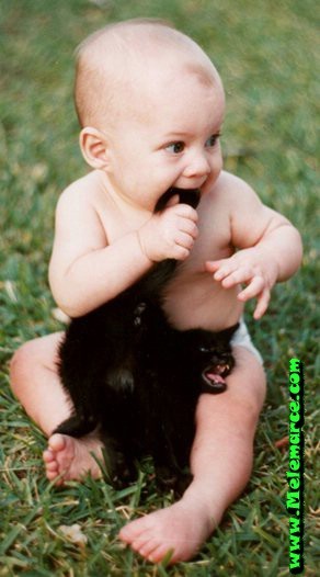 gli piace la coda del gatto!!!!