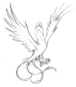 fenice