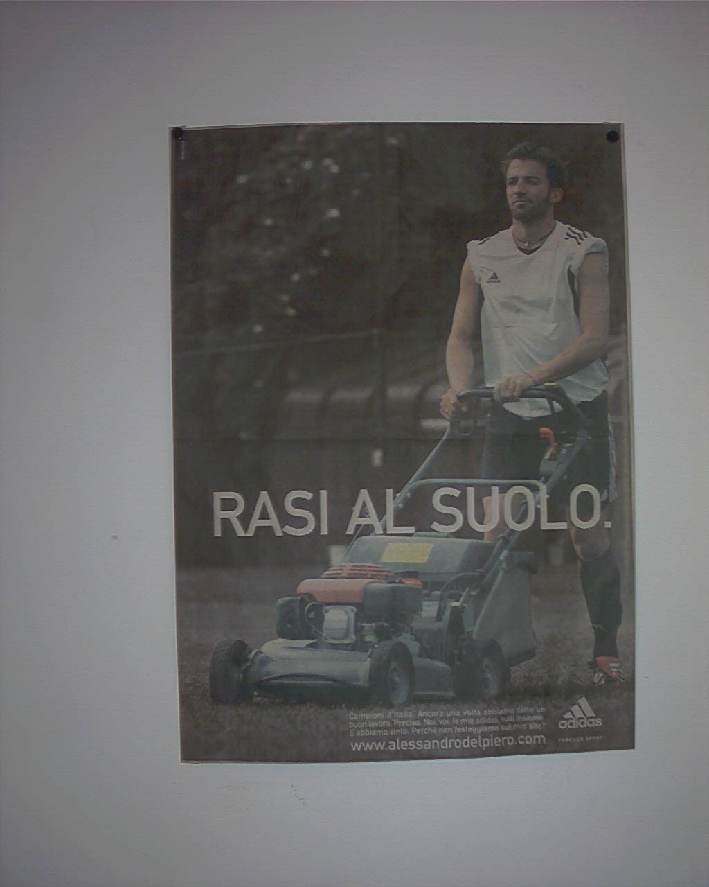 Rasi al suolo