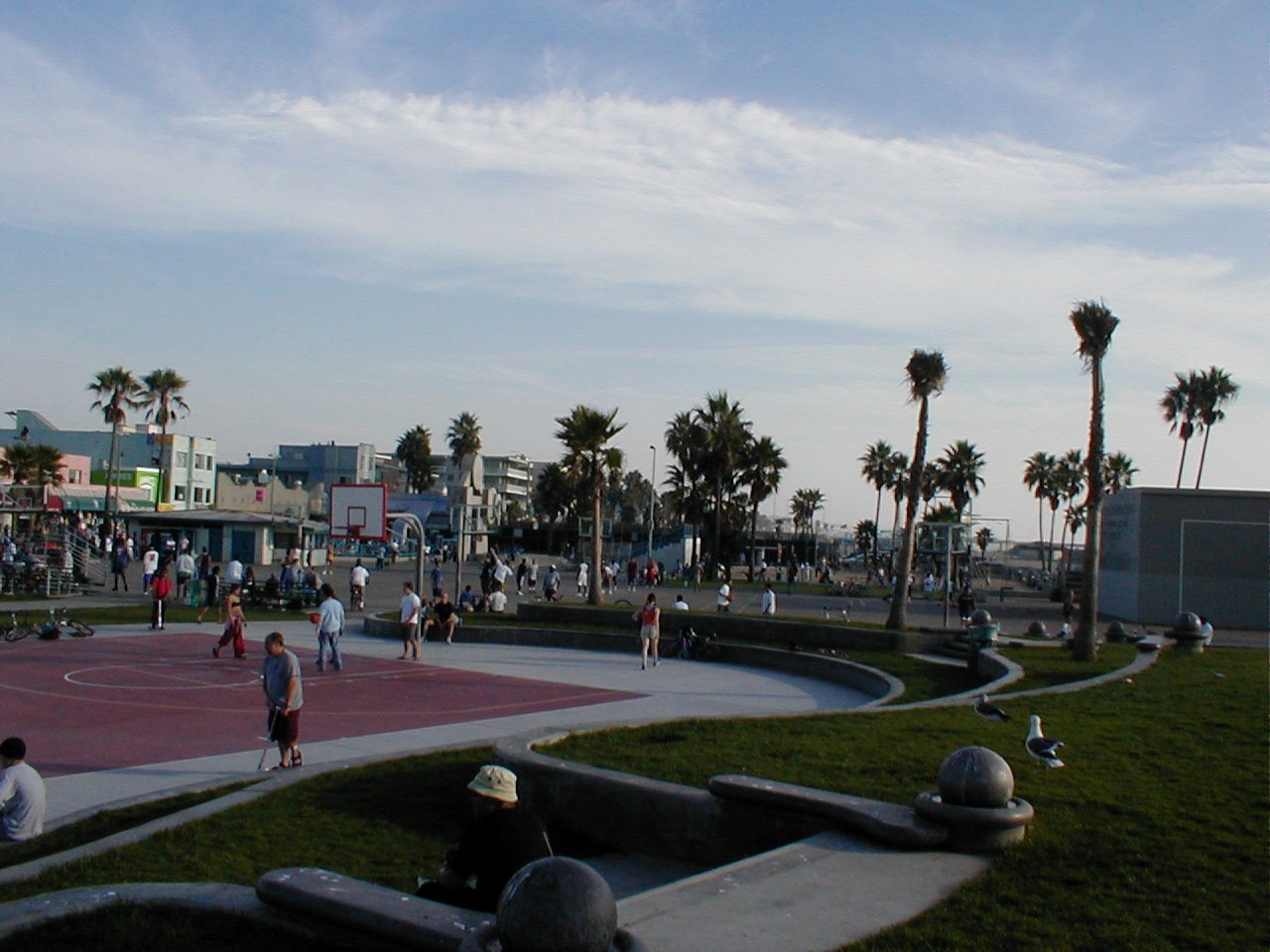 venice beach