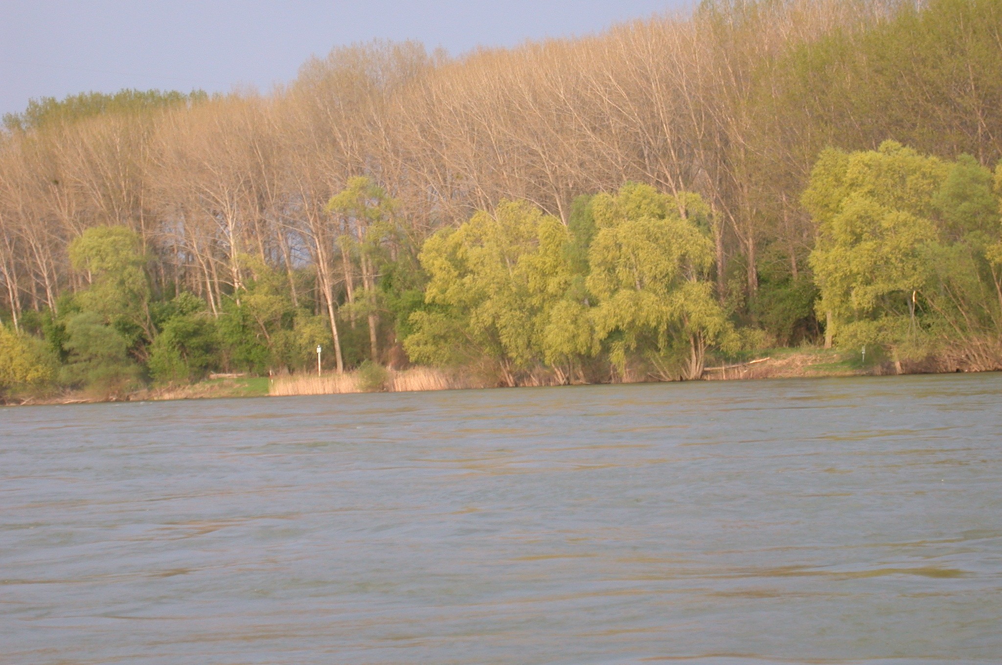 Saluti dal Danubio