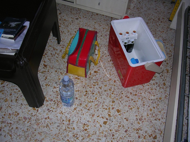 ciò che rimane nel frigo da picnic