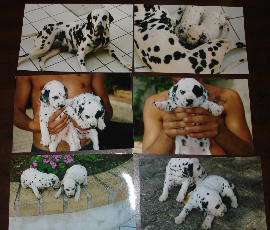 rocco e assunta