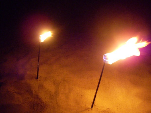 Le torce