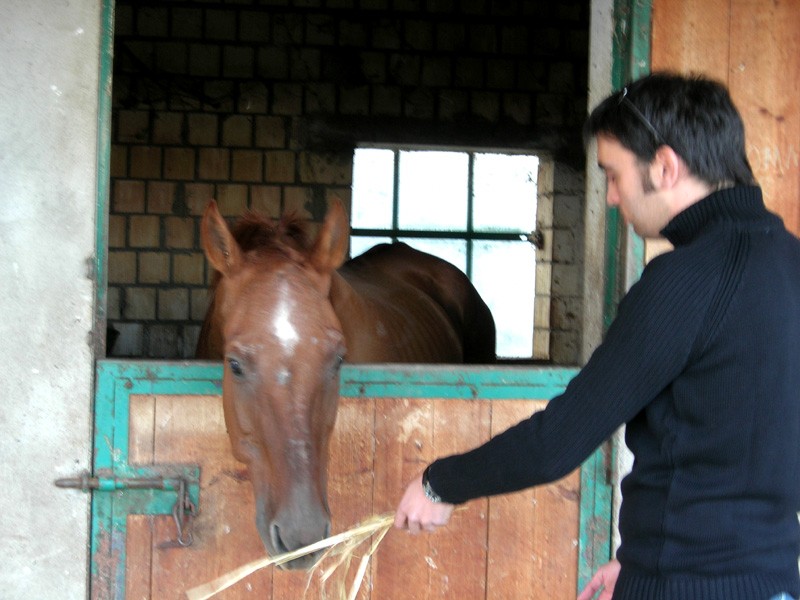 ...ma il cavallo lo rifiuta...