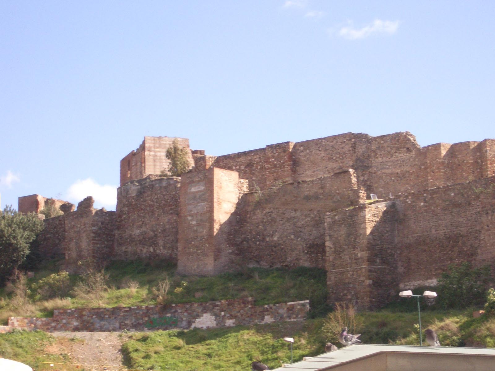 malaga, forteza araba