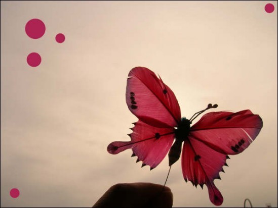 Butterfly...fly away