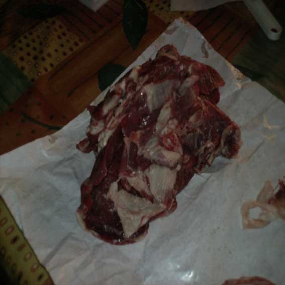 fase 2