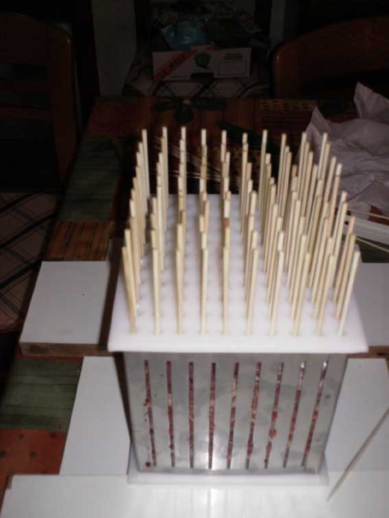 fase 4