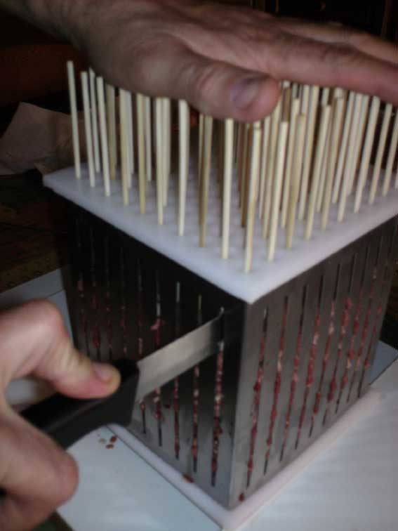 fase 5
