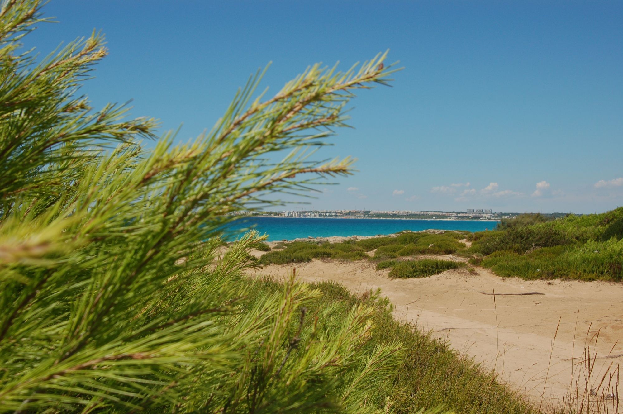 Mar di Salento