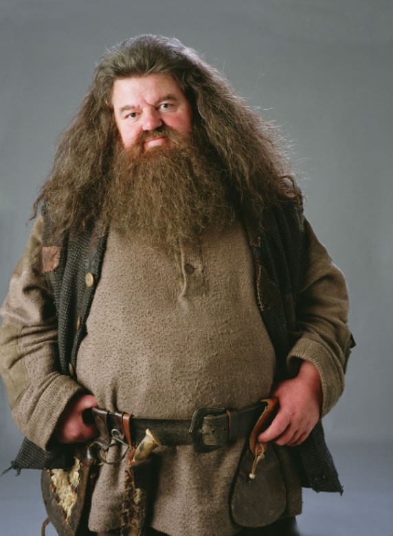 Rubeus Hagrid, mio zio