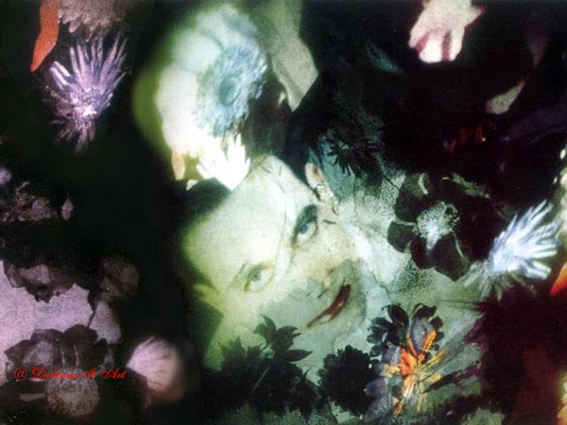 Disintegration_the Cure