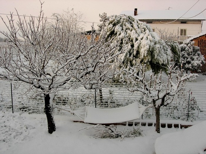 l'amaca e la neve ASD